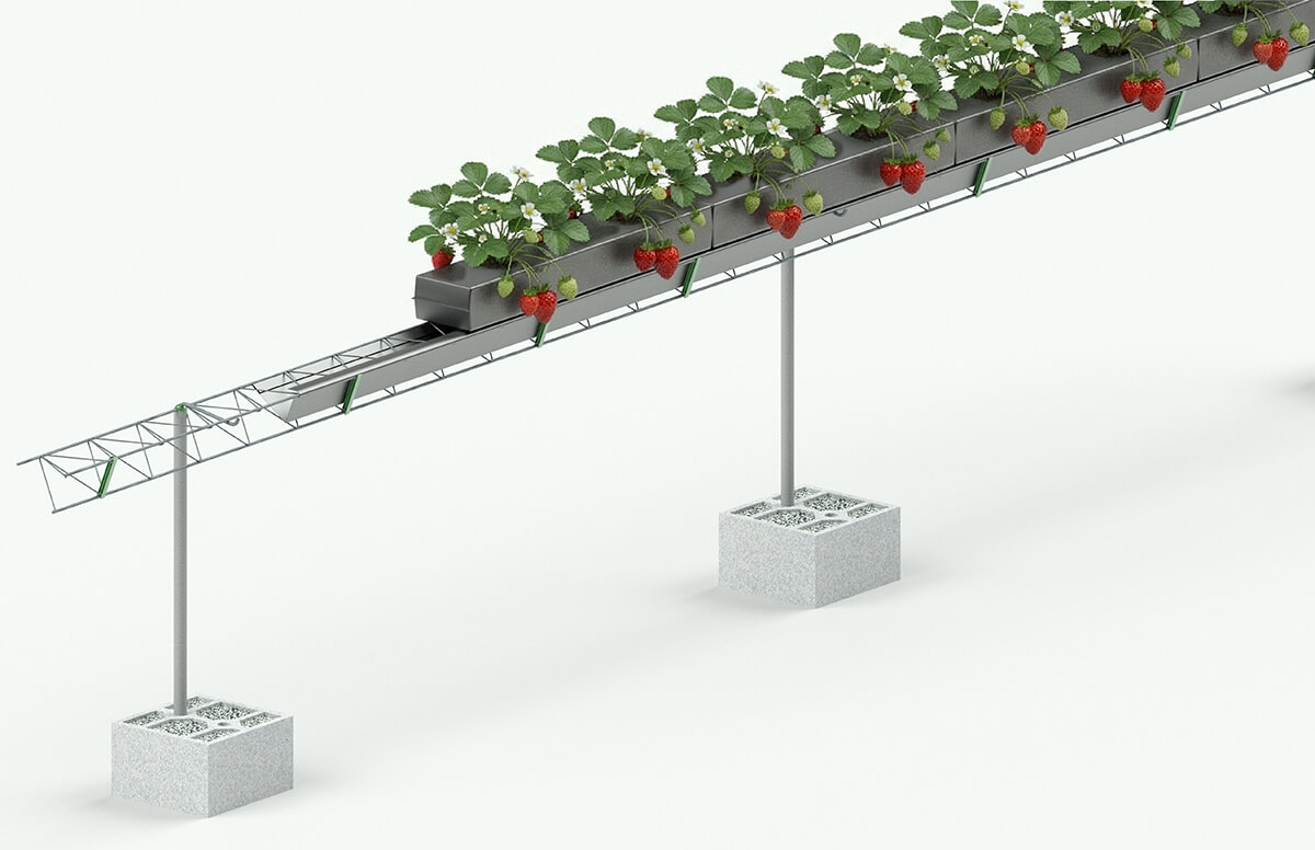 SEF-TerraBalance-BASIC-1