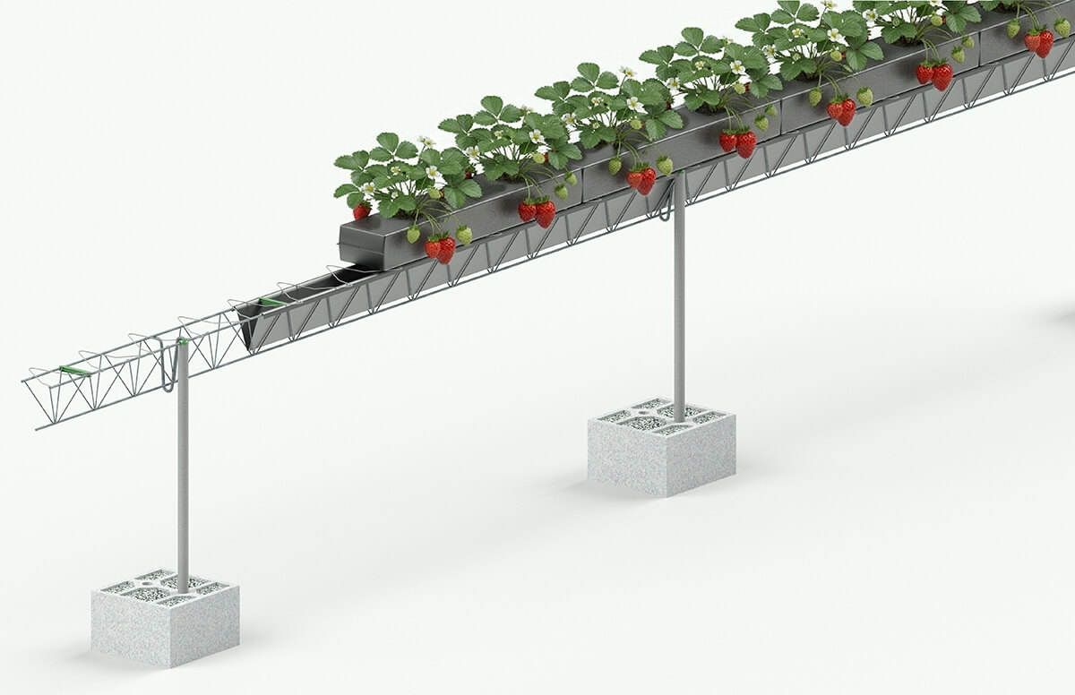 SEF-TerraBalance-con-OptiBase