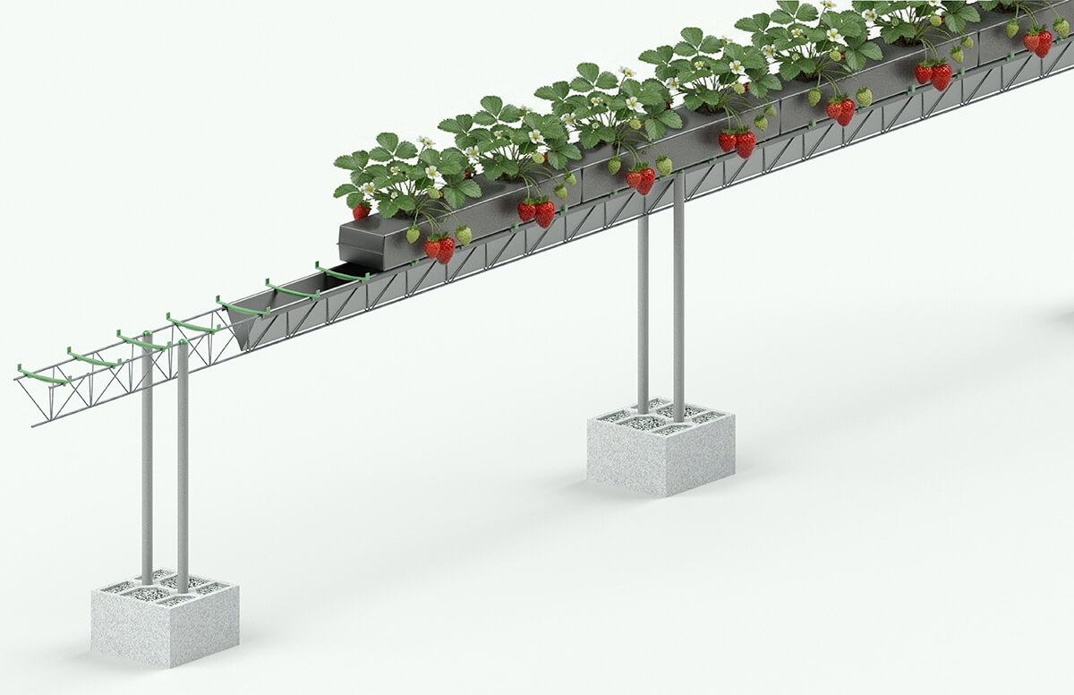 SEF-TerraBalance-con-traviesas