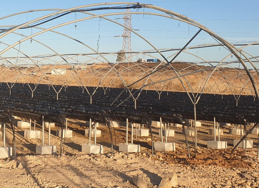 SEF | Growing Systems