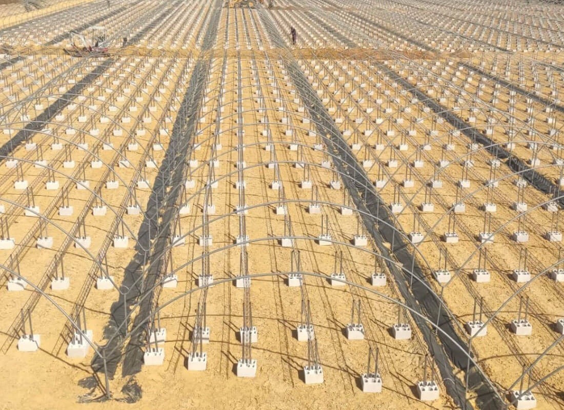 SEF | Growing Systems