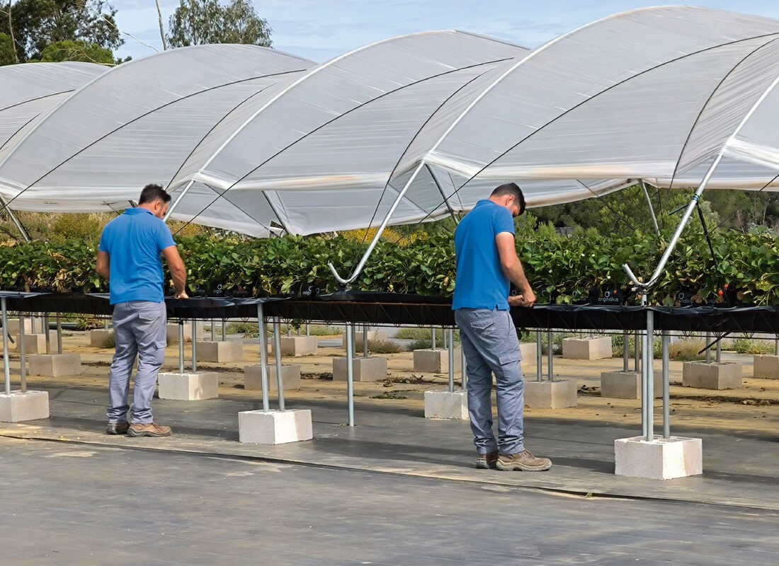 SEF | Growing Systems
