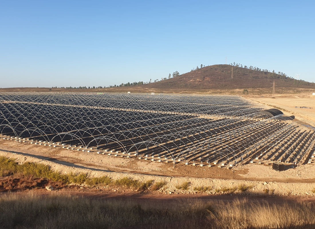 SEF | Growing Systems