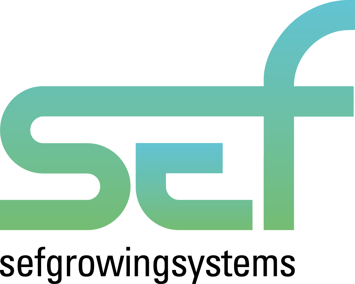 SEF